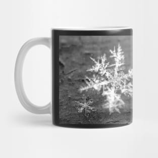 Snowflake abstract winter crystal macro six sided Family Mug